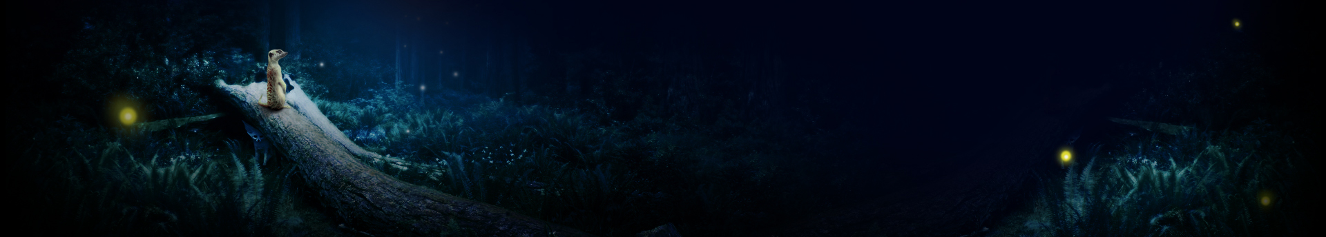 小熊设计YANI的个人主页（封面预览） - 主页封面设置 - 站酷设计师小熊设计YANI原创素材 - 站酷ZCOOL