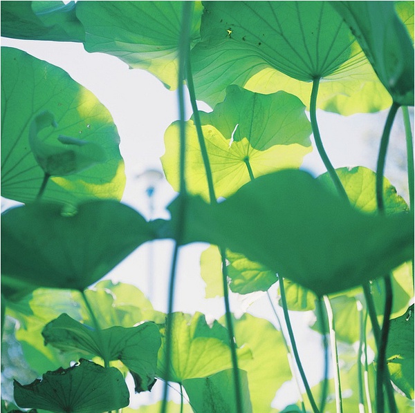 今宁的个人主页（封面预览） - 主页封面设置 - 站酷设计师今宁原创素材 - 站酷ZCOOL