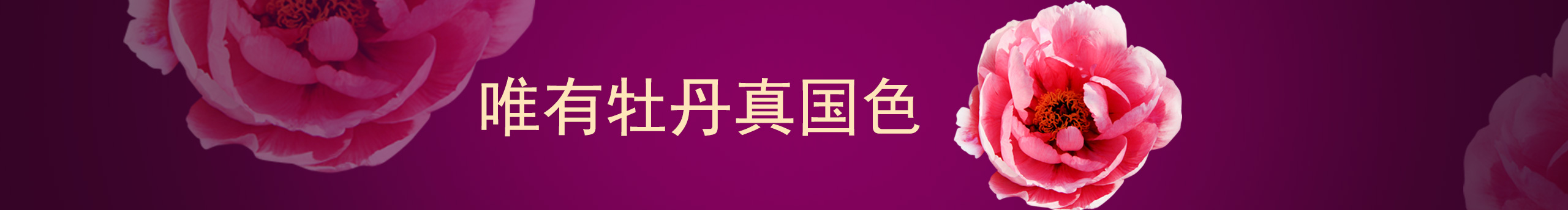 屋顶上的喵喵的个人主页（封面预览） - 主页封面设置 - 站酷设计师屋顶上的喵喵原创素材 - 站酷ZCOOL