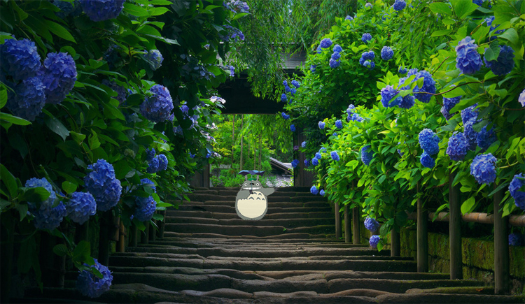 jiang0925的個人主頁（封面預覽） - 主頁封面設置 - 站酷設計師jiang0925原創(chuàng)素材 - 站酷ZCOOL