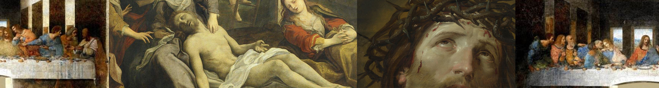 厶桜_SiYing的个人主页（封面预览） - 主页封面设置 - 站酷设计师厶桜_SiYing原创素材 - 站酷ZCOOL