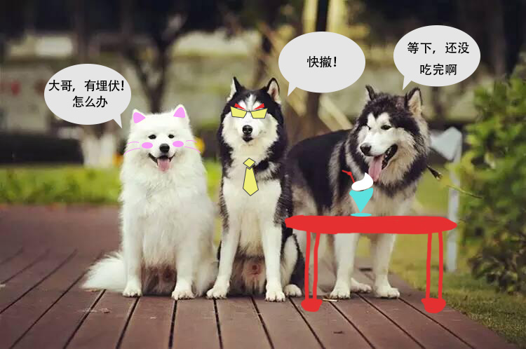 firework_wen的個人主頁（封面預(yù)覽） - 主頁封面設(shè)置 - 站酷設(shè)計師firework_wen原創(chuàng)素材 - 站酷ZCOOL