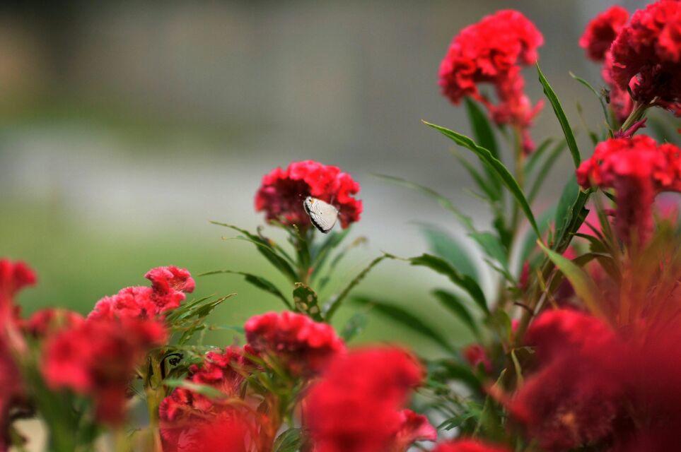 沐小言的個人主頁（封面預(yù)覽） - 主頁封面設(shè)置 - 站酷設(shè)計師沐小言原創(chuàng)素材 - 站酷ZCOOL