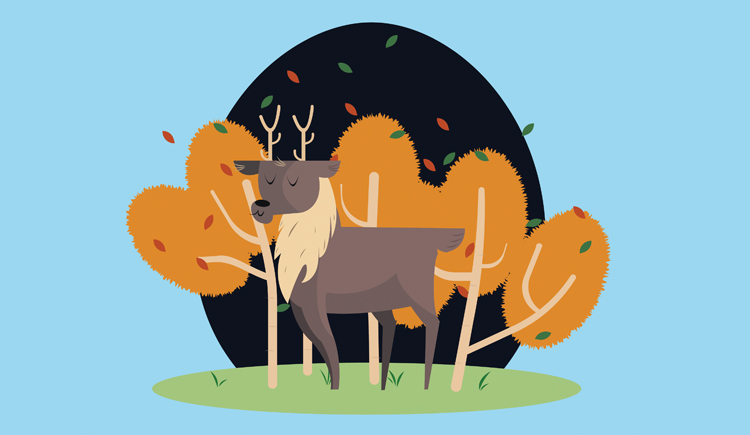 木土先木木木的個人主頁（封面預(yù)覽） - 主頁封面設(shè)置 - 站酷設(shè)計師木土先木木木原創(chuàng)素材 - 站酷ZCOOL