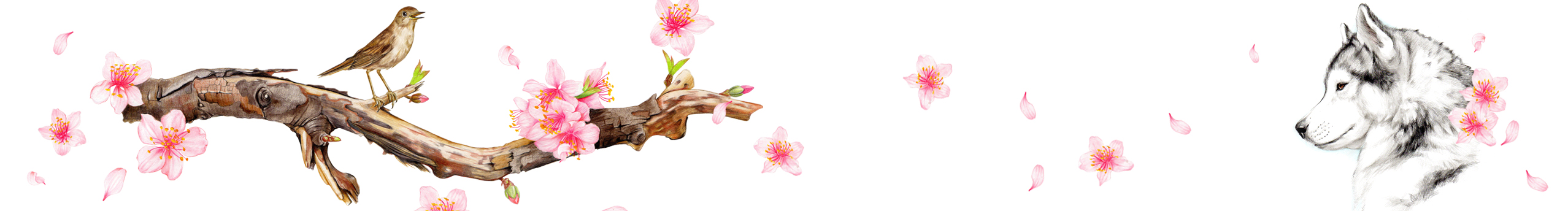 书言绘物的个人主页（封面预览） - 主页封面设置 - 站酷设计师书言绘物原创素材 - 站酷ZCOOL