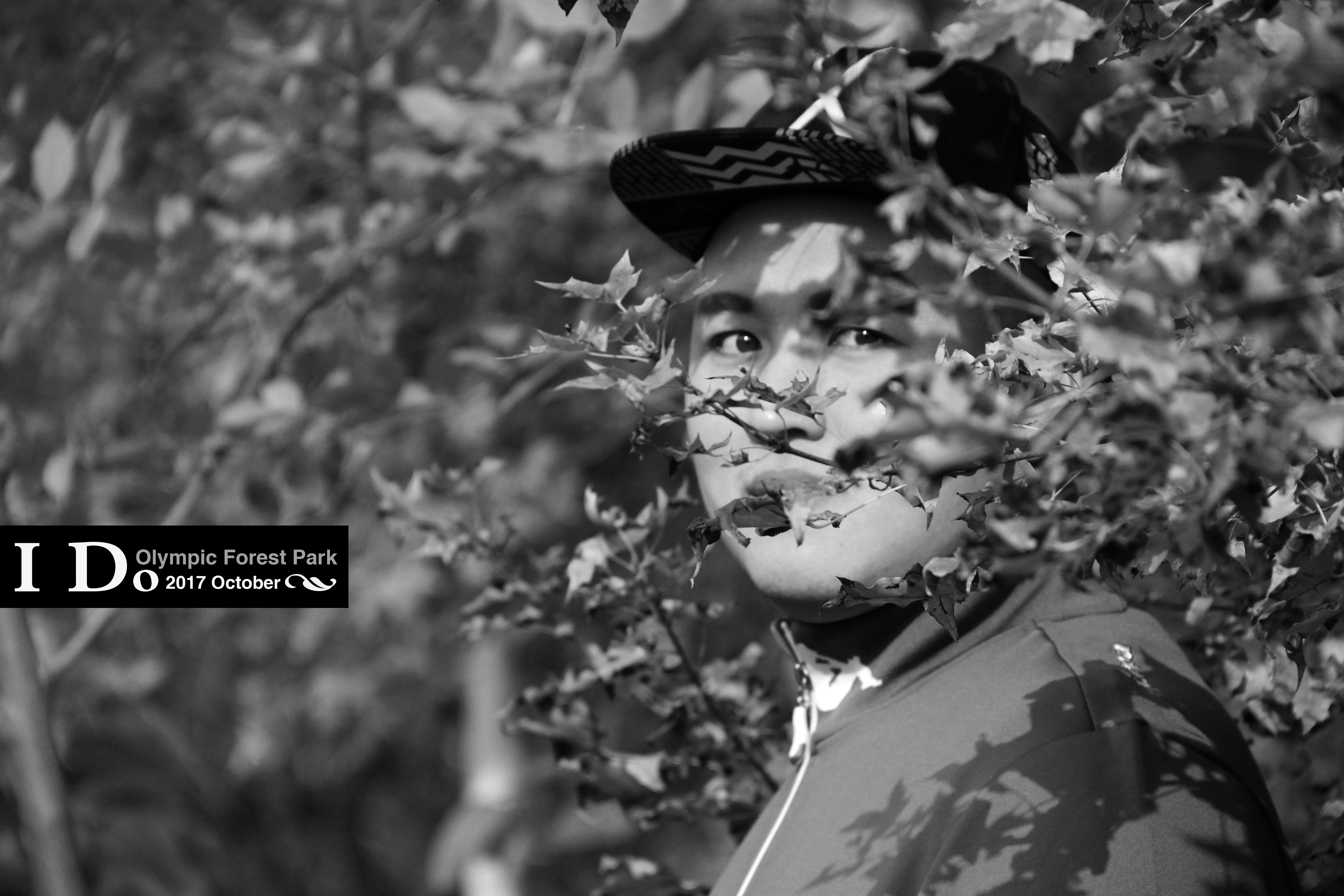 SevenWangWang的個人主頁（封面預(yù)覽） - 主頁封面設(shè)置 - 站酷設(shè)計師SevenWangWang原創(chuàng)素材 - 站酷ZCOOL