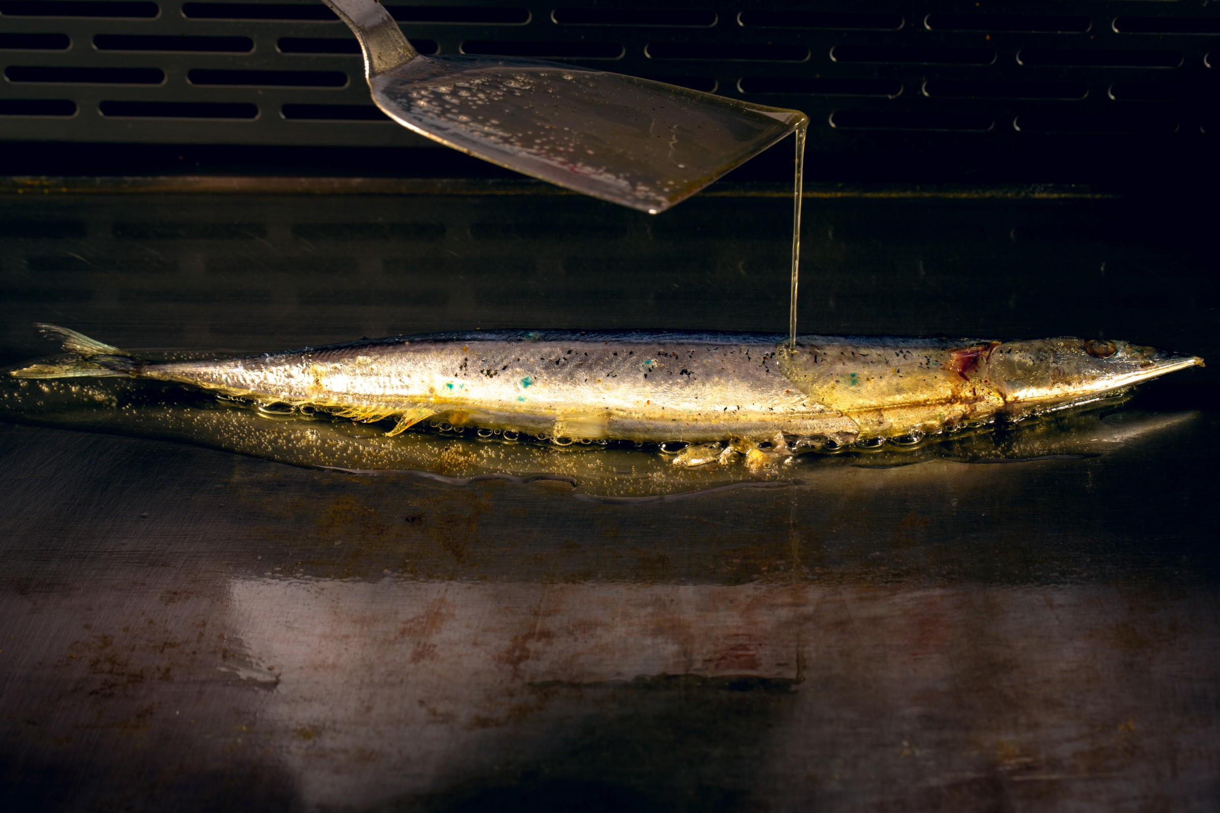 一名合格的饲养员的个人主页（封面预览） - 主页封面设置 - 站酷设计师一名合格的饲养员原创素材 - 站酷ZCOOL