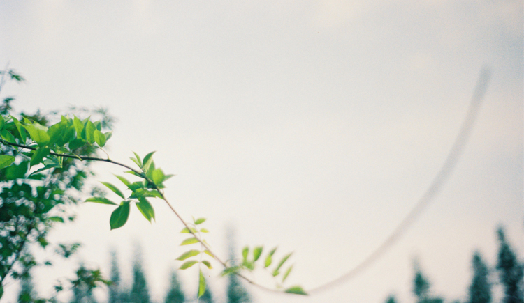 筱娓爱大鱼的个人主页（封面预览） - 主页封面设置 - 站酷设计师筱娓爱大鱼原创素材 - 站酷ZCOOL