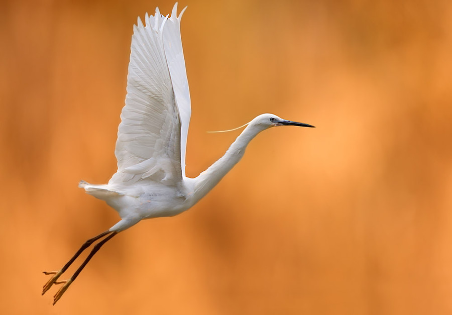 Ui小温同学的个人主页（封面预览） - 主页封面设置 - 站酷设计师Ui小温同学原创素材 - 站酷ZCOOL