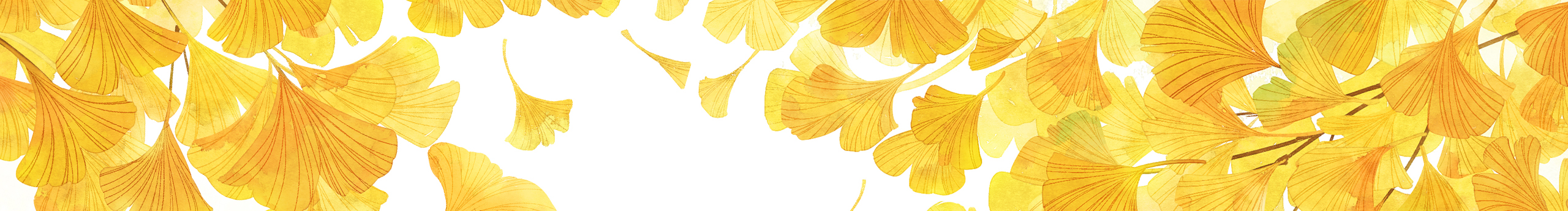 kami_pan的个人主页（封面预览） - 主页封面设置 - 站酷设计师kami_pan原创素材 - 站酷ZCOOL