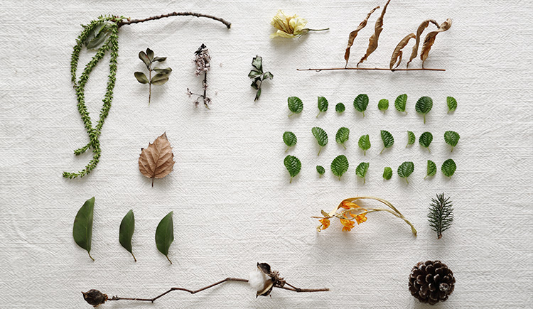 半夏曲兒的個(gè)人主頁（封面預(yù)覽） - 主頁封面設(shè)置 - 站酷設(shè)計(jì)師半夏曲兒原創(chuàng)素材 - 站酷ZCOOL