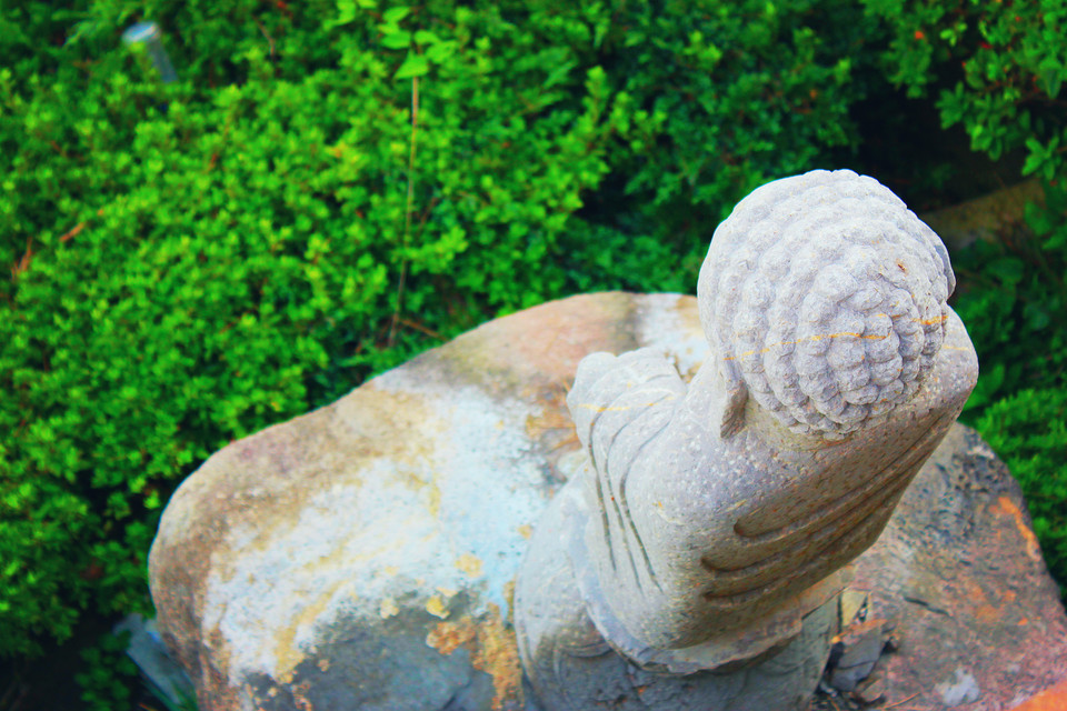 MISS_W的個(gè)人主頁（封面預(yù)覽） - 主頁封面設(shè)置 - 站酷設(shè)計(jì)師MISS_W原創(chuàng)素材 - 站酷ZCOOL