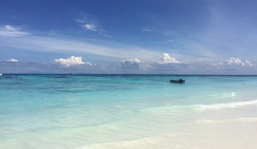 蛋撻娃娃的個人主頁（封面預(yù)覽） - 主頁封面設(shè)置 - 站酷設(shè)計師蛋撻娃娃原創(chuàng)素材 - 站酷ZCOOL