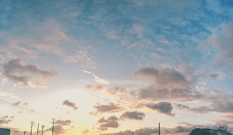 池恩Sylvia的個(gè)人主頁(yè)（封面預(yù)覽） - 主頁(yè)封面設(shè)置 - 站酷設(shè)計(jì)師池恩Sylvia原創(chuàng)素材 - 站酷ZCOOL