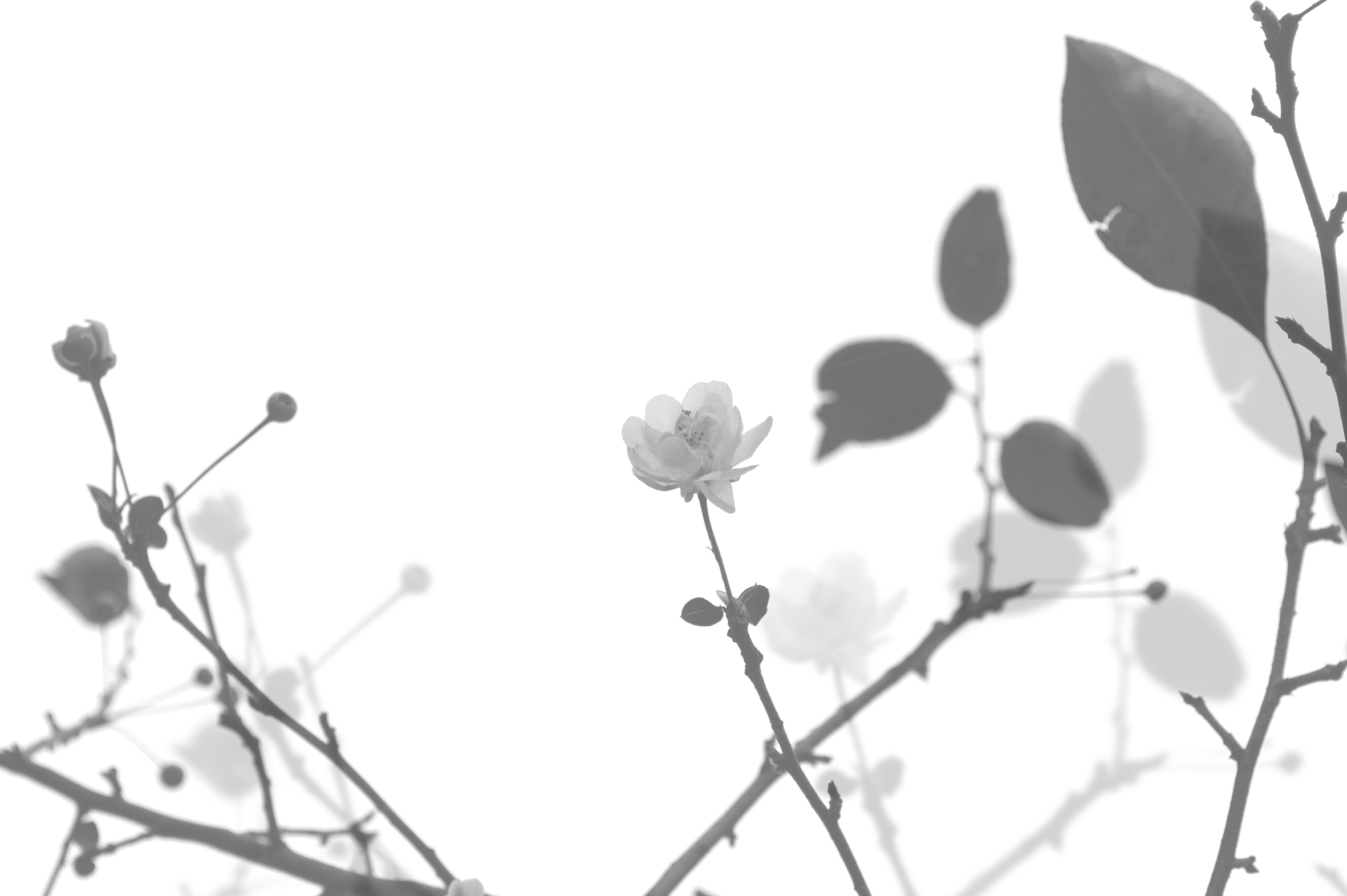 hejuekun的个人主页（封面预览） - 主页封面设置 - 站酷设计师hejuekun原创素材 - 站酷ZCOOL