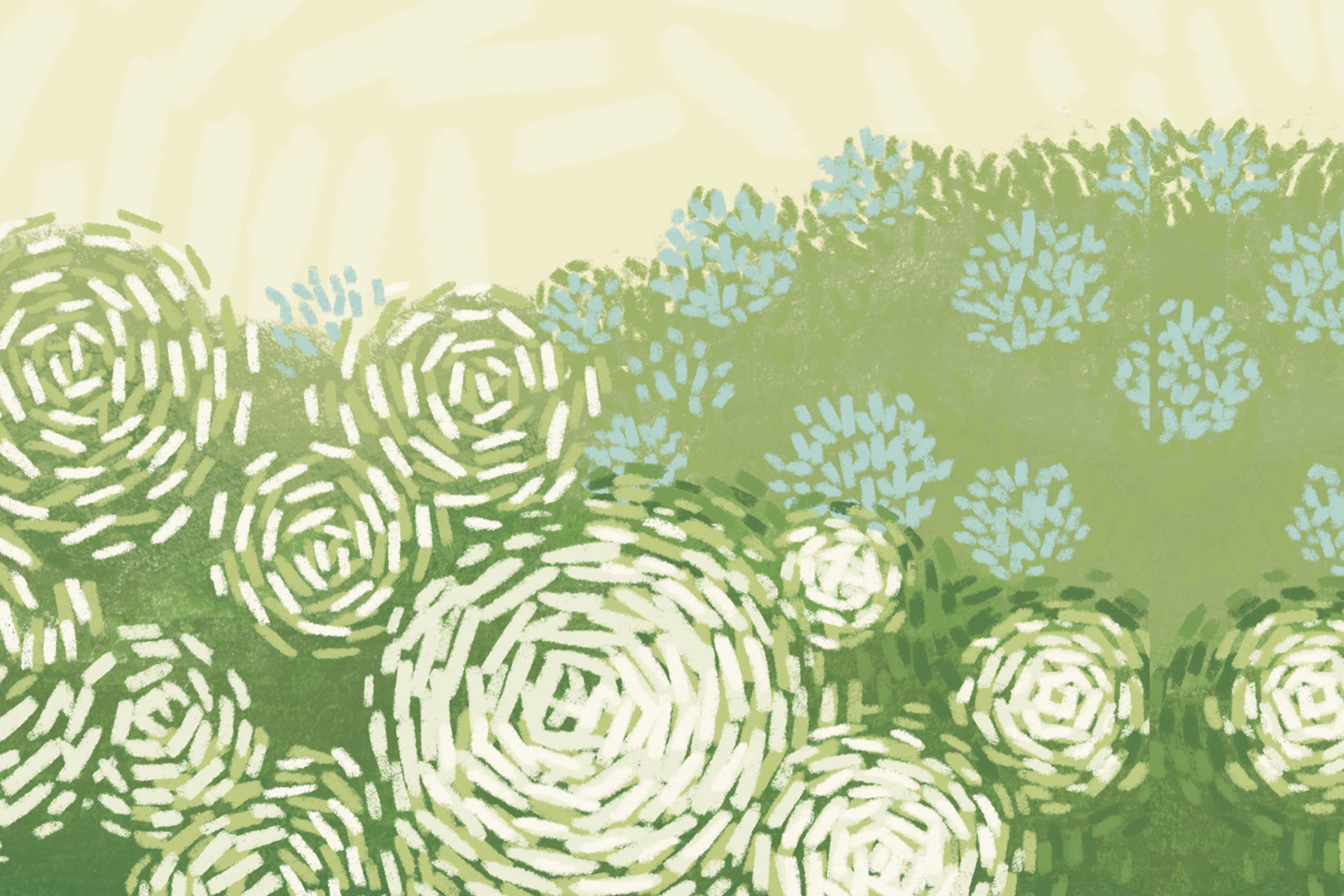 艾瑞鸭Irene的个人主页（封面预览） - 主页封面设置 - 站酷设计师艾瑞鸭Irene原创素材 - 站酷ZCOOL