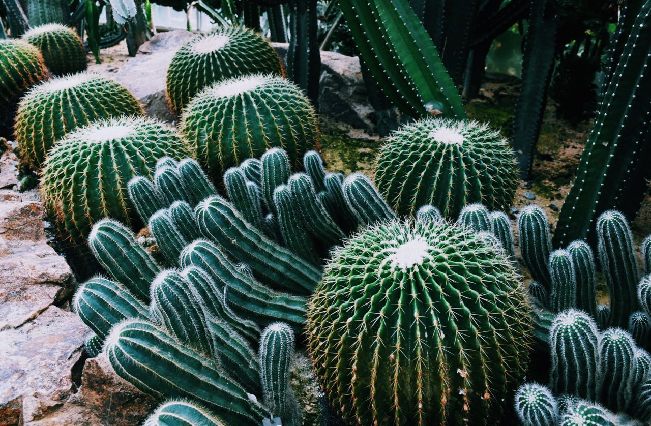 NANY娜娜的个人主页（封面预览） - 主页封面设置 - 站酷设计师NANY娜娜原创素材 - 站酷ZCOOL