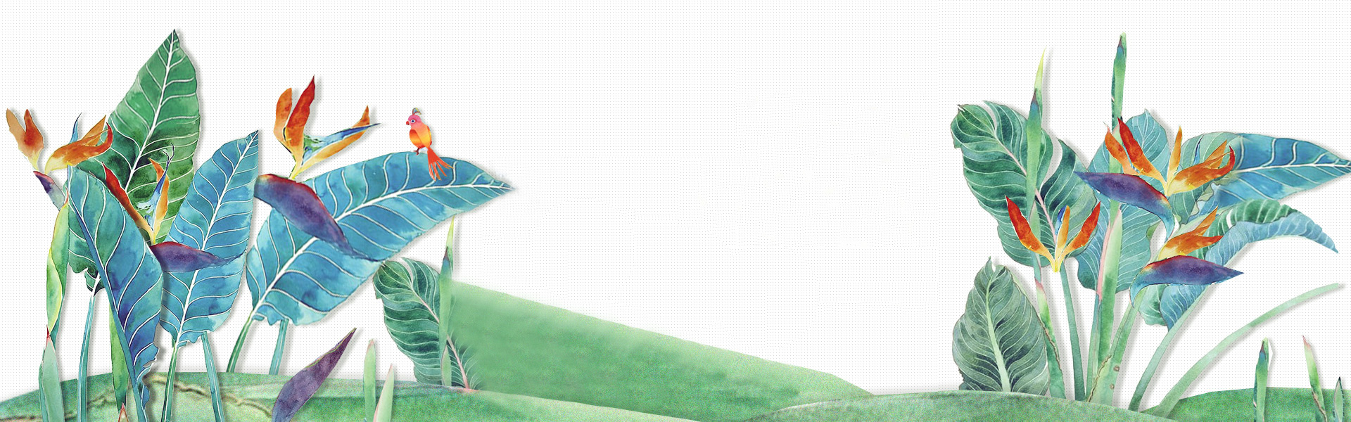 kksecret的个人主页（封面预览） - 主页封面设置 - 站酷设计师kksecret原创素材 - 站酷ZCOOL