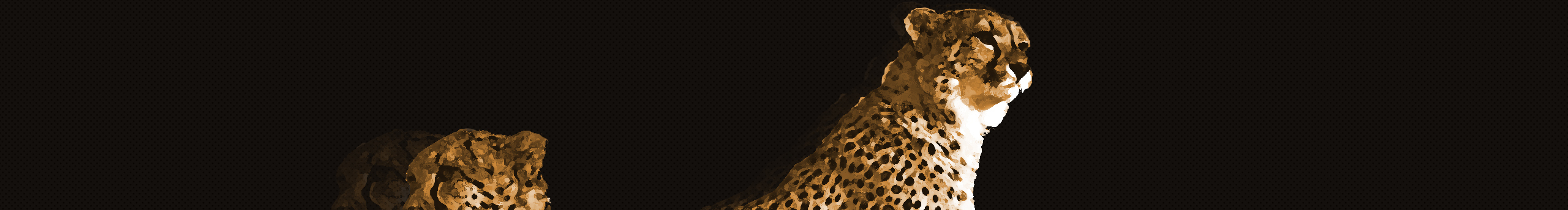 竹剑和酒的个人主页（封面预览） - 主页封面设置 - 站酷设计师竹剑和酒原创素材 - 站酷ZCOOL