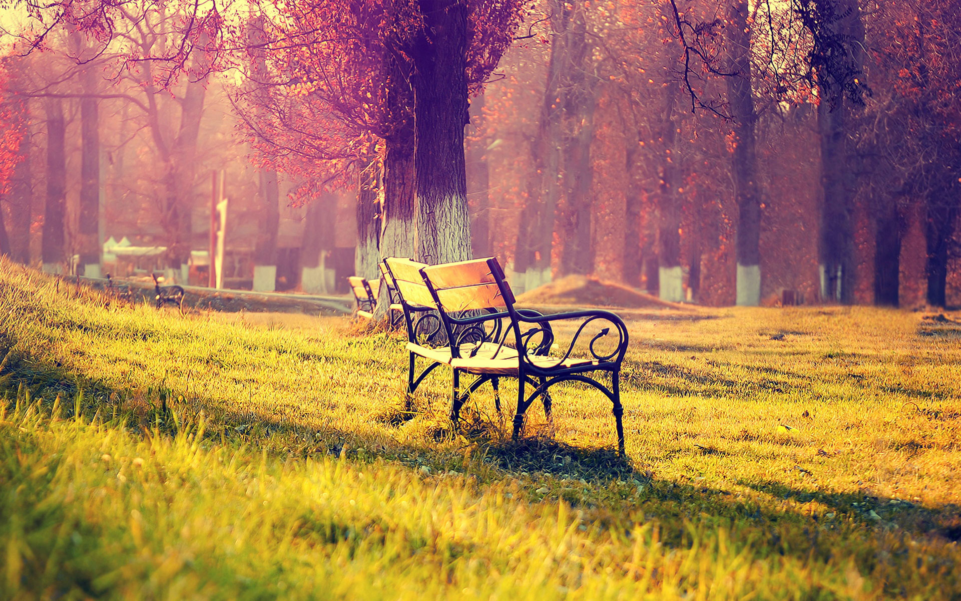 北北川的個(gè)人主頁(yè)（封面預(yù)覽） - 主頁(yè)封面設(shè)置 - 站酷設(shè)計(jì)師北北川原創(chuàng)素材 - 站酷ZCOOL