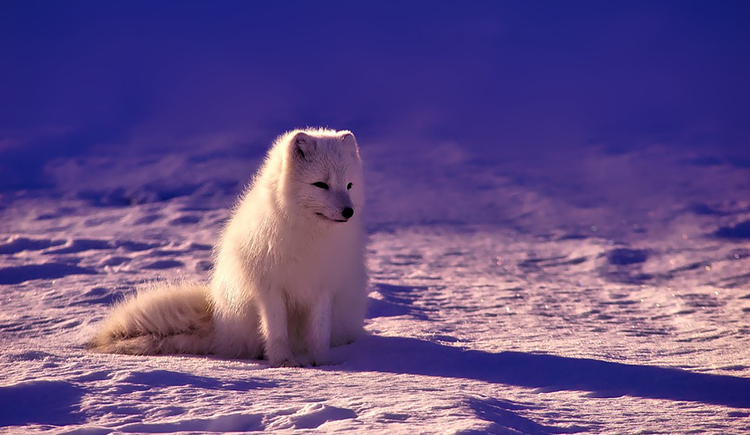 微微姐的個人主頁（封面預(yù)覽） - 主頁封面設(shè)置 - 站酷設(shè)計(jì)師微微姐原創(chuàng)素材 - 站酷ZCOOL