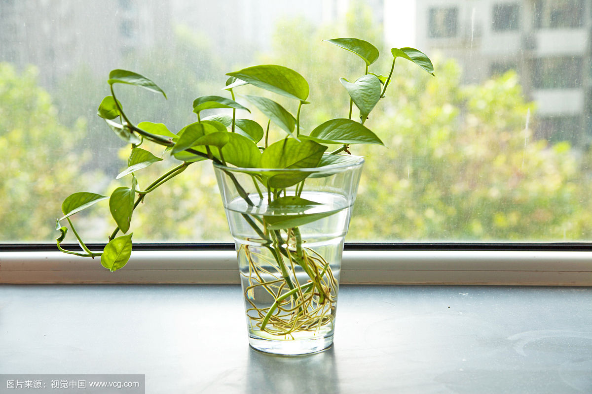 丢失色的个人主页（封面预览） - 主页封面设置 - 站酷设计师丢失色原创素材 - 站酷ZCOOL