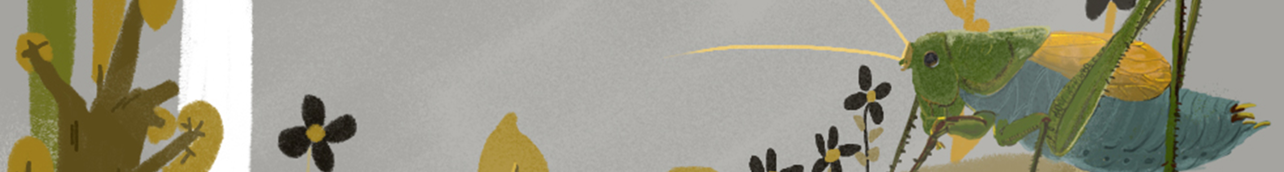 六點葫蘆的個人主頁（封面預(yù)覽） - 主頁封面設(shè)置 - 站酷設(shè)計師六點葫蘆原創(chuàng)素材 - 站酷ZCOOL