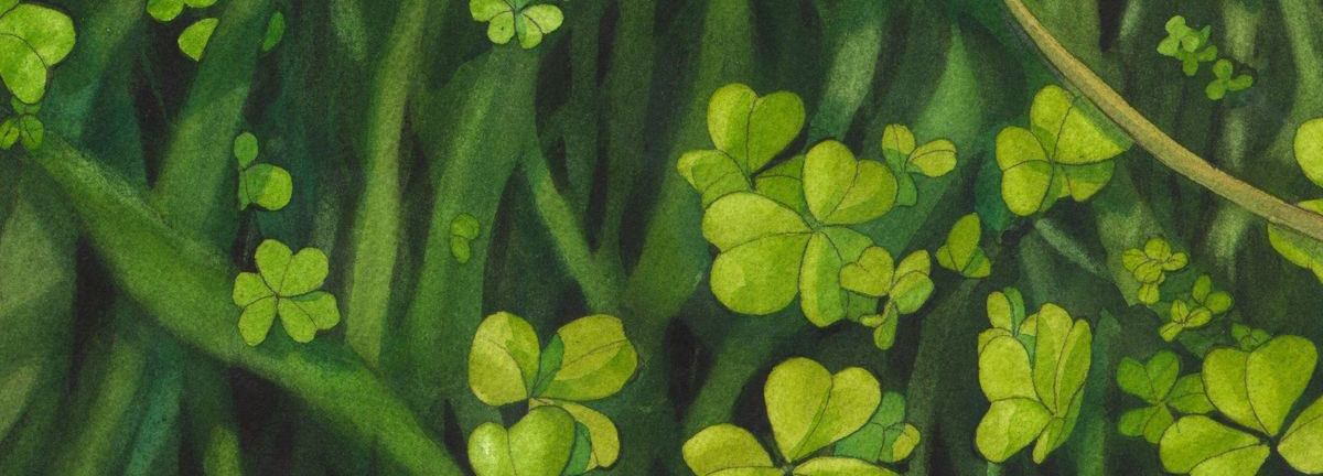 阿里阿坤的個人主頁（封面預(yù)覽） - 主頁封面設(shè)置 - 站酷設(shè)計師阿里阿坤原創(chuàng)素材 - 站酷ZCOOL