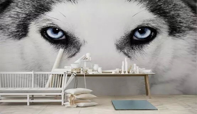 北京3D画3D立体画的个人主页（封面预览） - 主页封面设置 - 站酷设计师北京3D画3D立体画原创素材 - 站酷ZCOOL