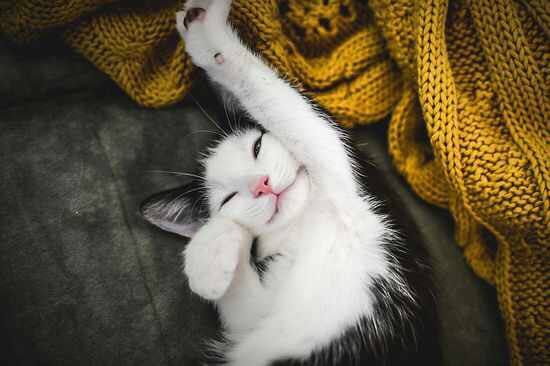 Sherrie_art的個(gè)人主頁（封面預(yù)覽） - 主頁封面設(shè)置 - 站酷設(shè)計(jì)師Sherrie_art原創(chuàng)素材 - 站酷ZCOOL