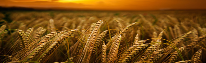 玩美的个人主页（封面预览） - 主页封面设置 - 站酷设计师玩美原创素材 - 站酷ZCOOL