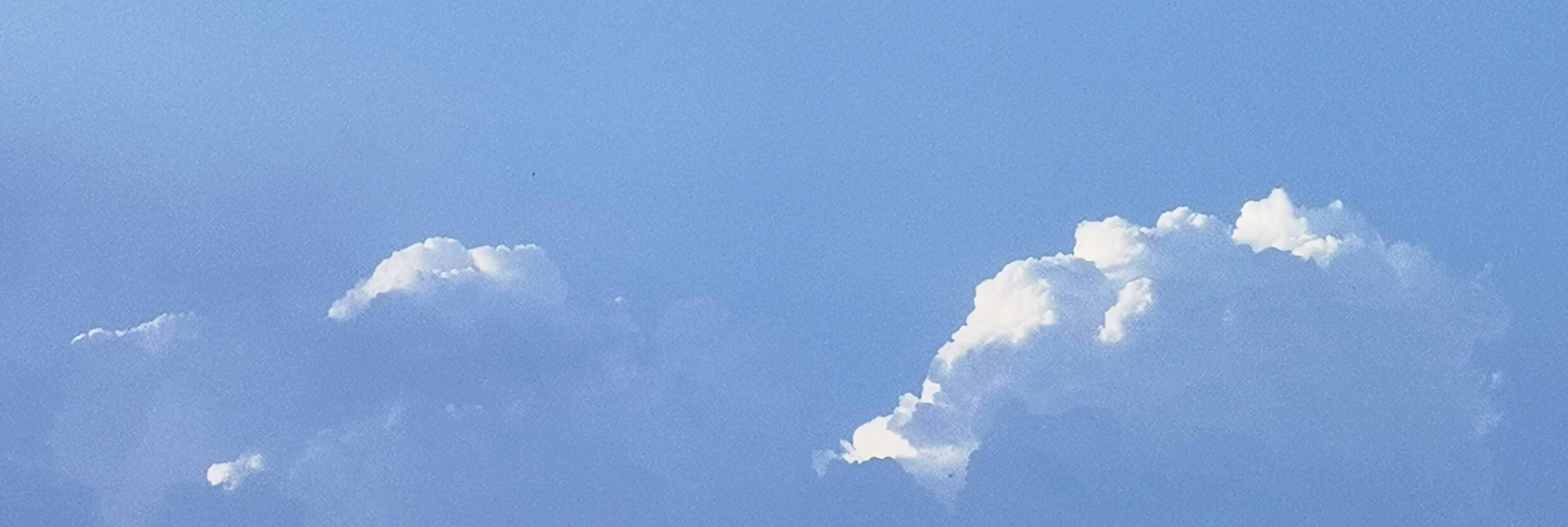 神采飞扬liu的个人主页（封面预览） - 主页封面设置 - 站酷设计师神采飞扬liu原创素材 - 站酷ZCOOL