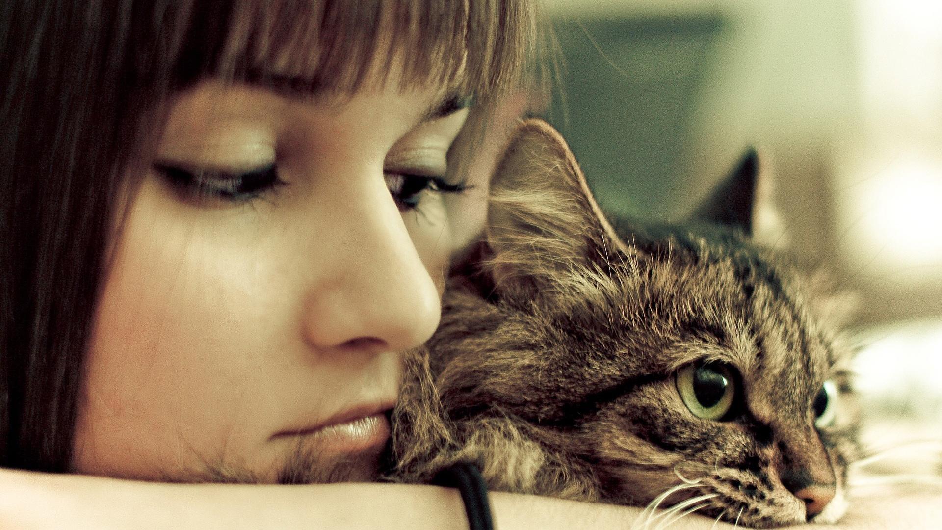 snowlsj的个人主页（封面预览） - 主页封面设置 - 站酷设计师snowlsj原创素材 - 站酷ZCOOL