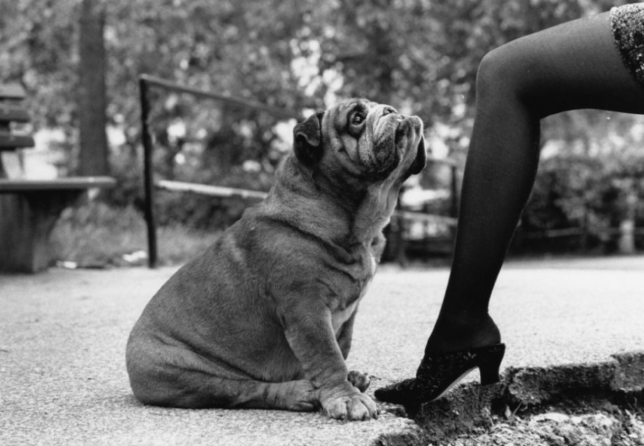 拍照詩人王富貴兒的個人主頁（封面預覽） - 主頁封面設置 - 站酷設計師拍照詩人王富貴兒原創(chuàng)素材 - 站酷ZCOOL