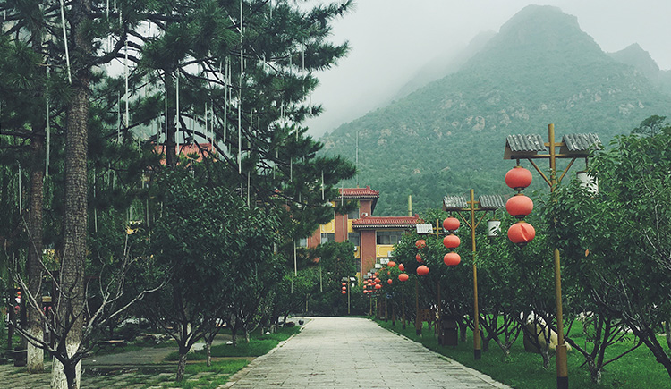 神經(jīng)病抽風(fēng)機(jī)的個(gè)人主頁(yè)（封面預(yù)覽） - 主頁(yè)封面設(shè)置 - 站酷設(shè)計(jì)師神經(jīng)病抽風(fēng)機(jī)原創(chuàng)素材 - 站酷ZCOOL