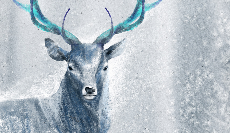 h890的個(gè)人主頁（封面預(yù)覽） - 主頁封面設(shè)置 - 站酷設(shè)計(jì)師h890原創(chuàng)素材 - 站酷ZCOOL