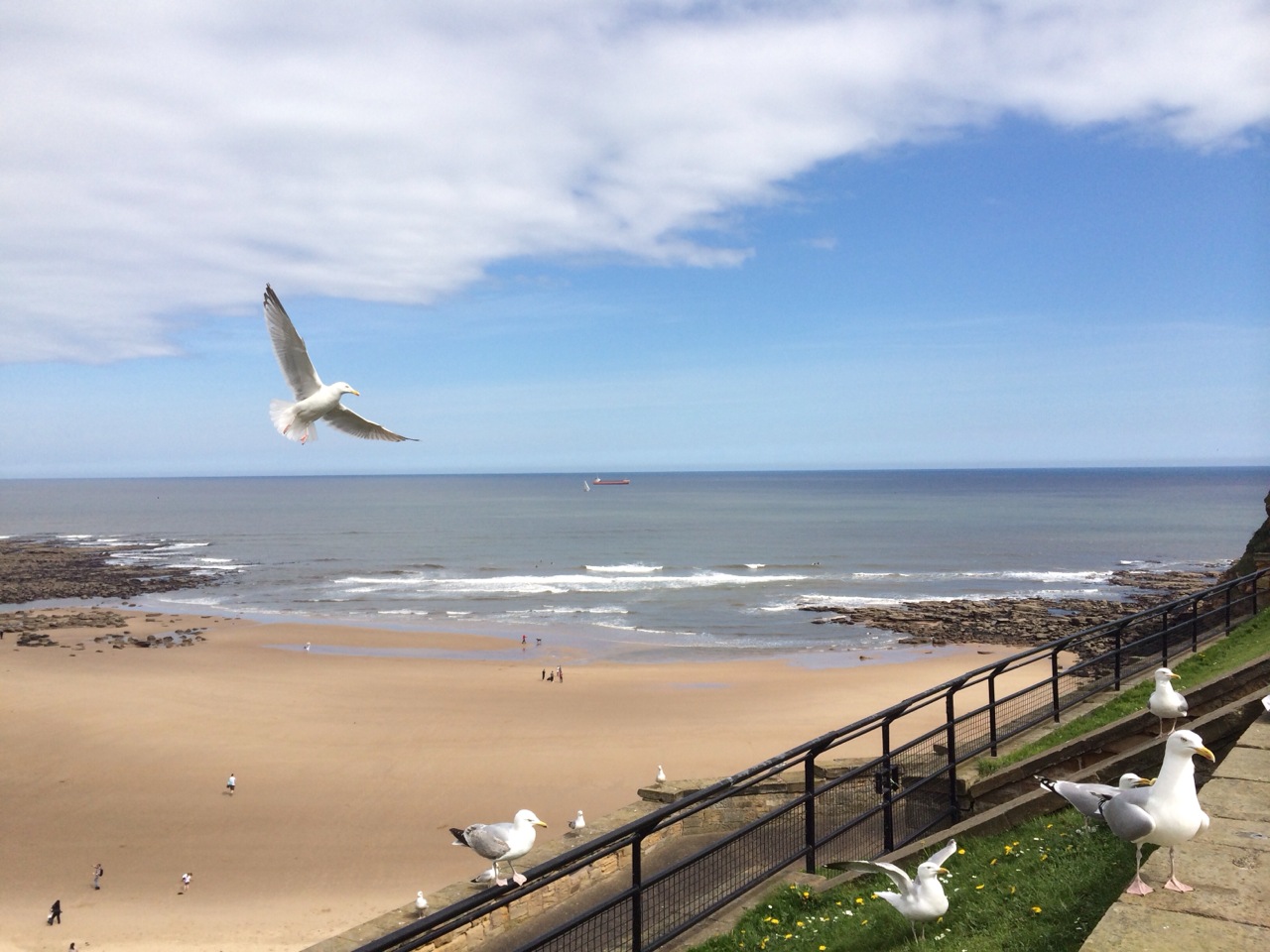 Crystal_ZOU的个人主页（封面预览） - 主页封面设置 - 站酷设计师Crystal_ZOU原创素材 - 站酷ZCOOL