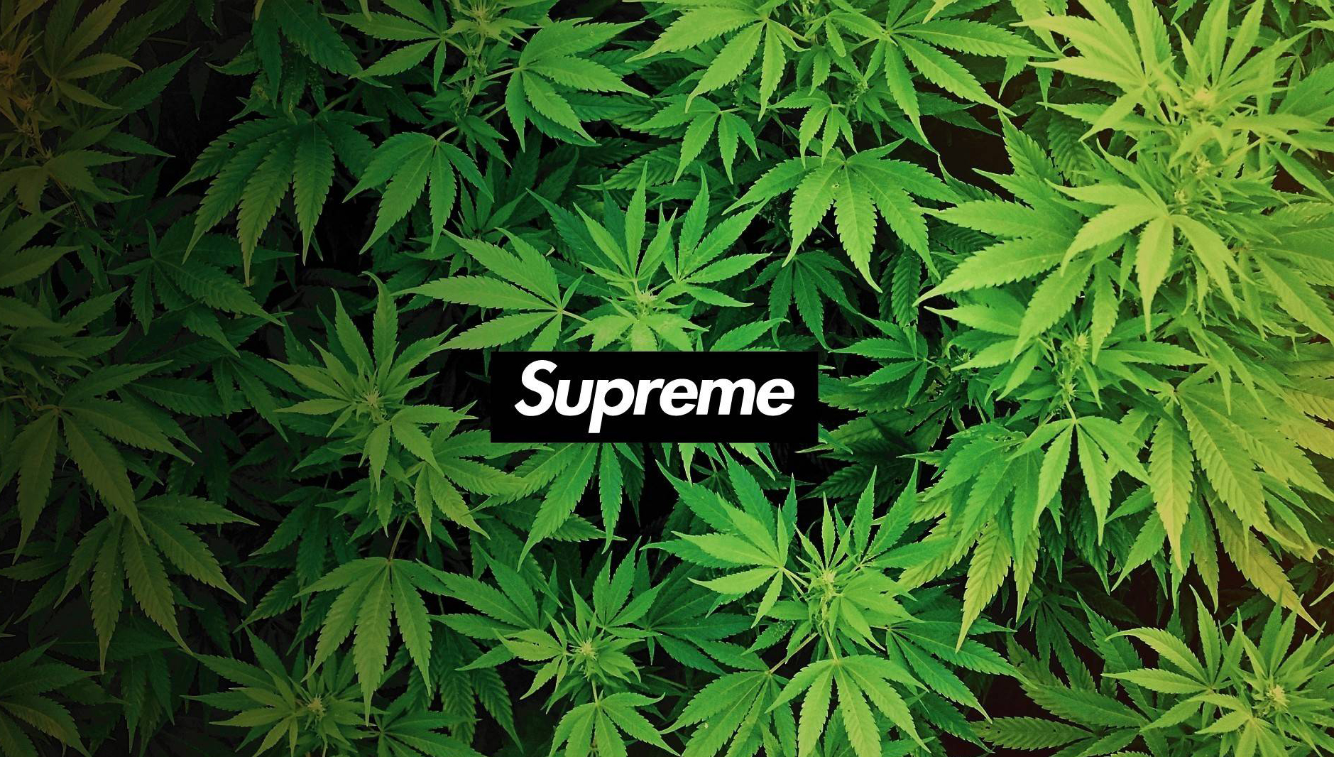 篮哥哥的个人主页（封面预览） - 主页封面设置 - 站酷设计师篮哥哥原创素材 - 站酷ZCOOL