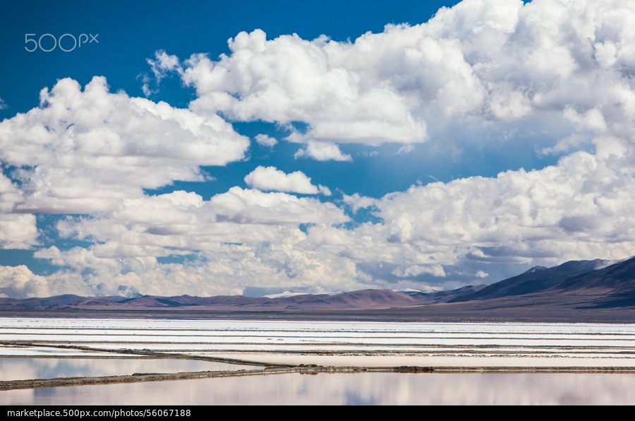 阿丹阿丹的个人主页（封面预览） - 主页封面设置 - 站酷设计师阿丹阿丹原创素材 - 站酷ZCOOL