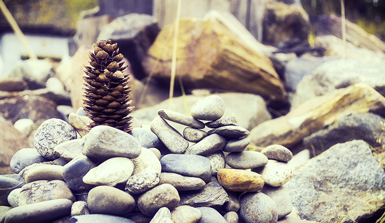 dreanfiy的個(gè)人主頁(yè)（封面預(yù)覽） - 主頁(yè)封面設(shè)置 - 站酷設(shè)計(jì)師dreanfiy原創(chuàng)素材 - 站酷ZCOOL