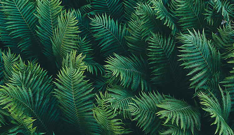 Chihiro千尋的個人主頁（封面預(yù)覽） - 主頁封面設(shè)置 - 站酷設(shè)計師Chihiro千尋原創(chuàng)素材 - 站酷ZCOOL