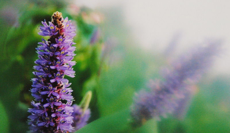 ahwanghao1943的個人主頁（封面預覽） - 主頁封面設置 - 站酷設計師ahwanghao1943原創(chuàng)素材 - 站酷ZCOOL