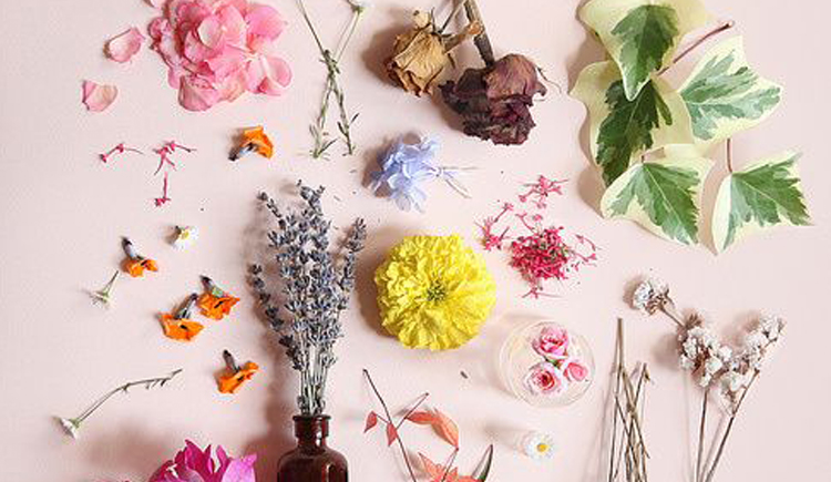 西西里XXLi的个人主页（封面预览） - 主页封面设置 - 站酷设计师西西里XXLi原创素材 - 站酷ZCOOL