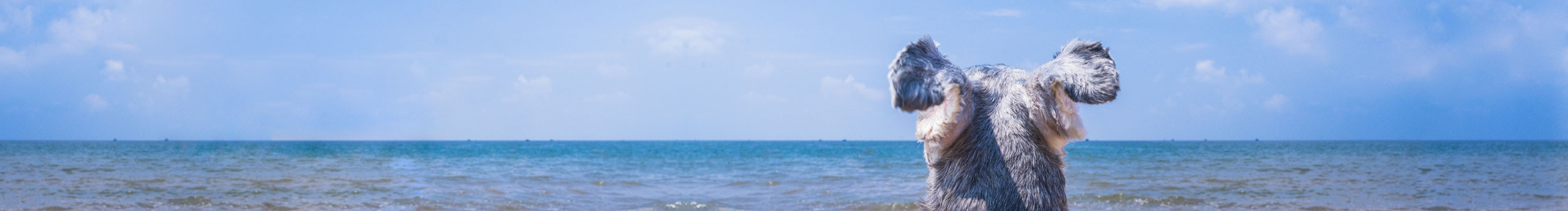 主尔的个人主页（封面预览） - 主页封面设置 - 站酷设计师主尔原创素材 - 站酷ZCOOL