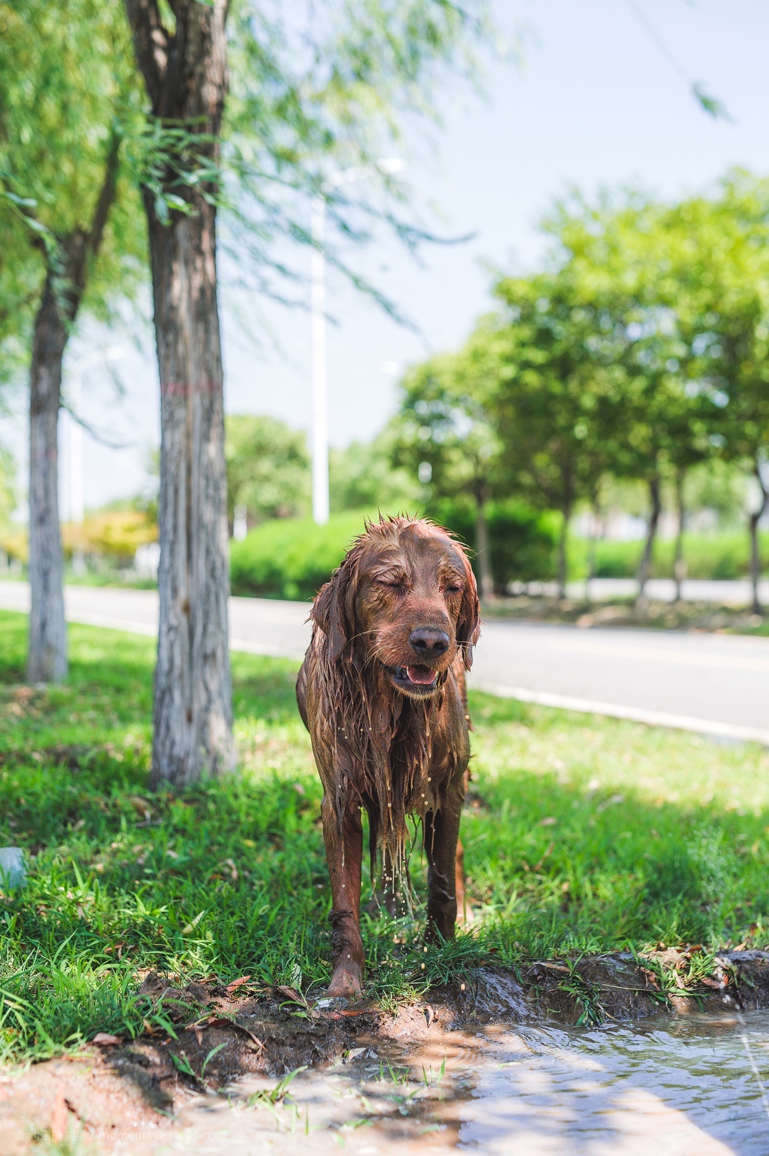 小牛奶爱听歌的个人主页（封面预览） - 主页封面设置 - 站酷设计师小牛奶爱听歌原创素材 - 站酷ZCOOL