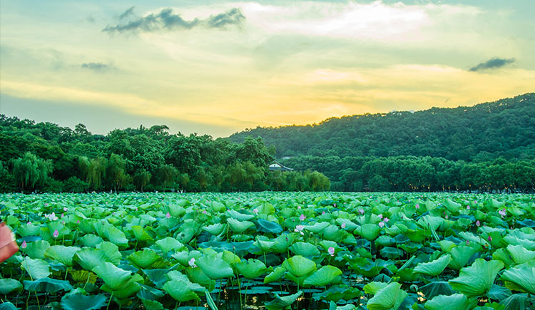 hohohuhu的個(gè)人主頁（封面預(yù)覽） - 主頁封面設(shè)置 - 站酷設(shè)計(jì)師hohohuhu原創(chuàng)素材 - 站酷ZCOOL