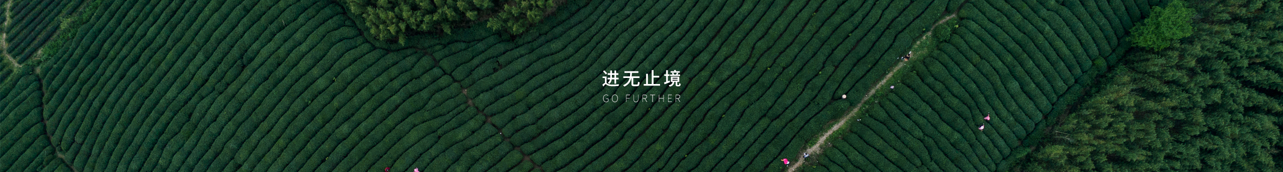 Feelbeauty的個(gè)人主頁（封面預(yù)覽） - 主頁封面設(shè)置 - 站酷設(shè)計(jì)師Feelbeauty原創(chuàng)素材 - 站酷ZCOOL