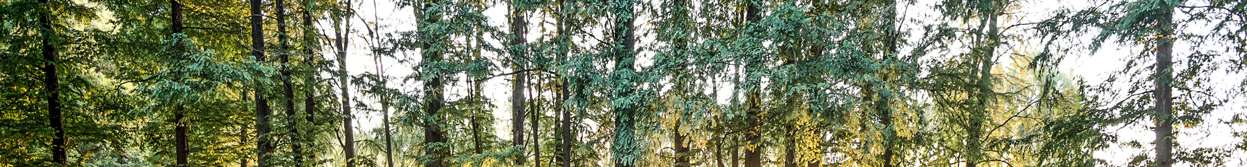 我是不高興的個人主頁（封面預覽） - 主頁封面設置 - 站酷設計師我是不高興原創(chuàng)素材 - 站酷ZCOOL