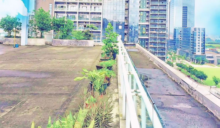 蛋撻姑娘的個人主頁（封面預(yù)覽） - 主頁封面設(shè)置 - 站酷設(shè)計師蛋撻姑娘原創(chuàng)素材 - 站酷ZCOOL