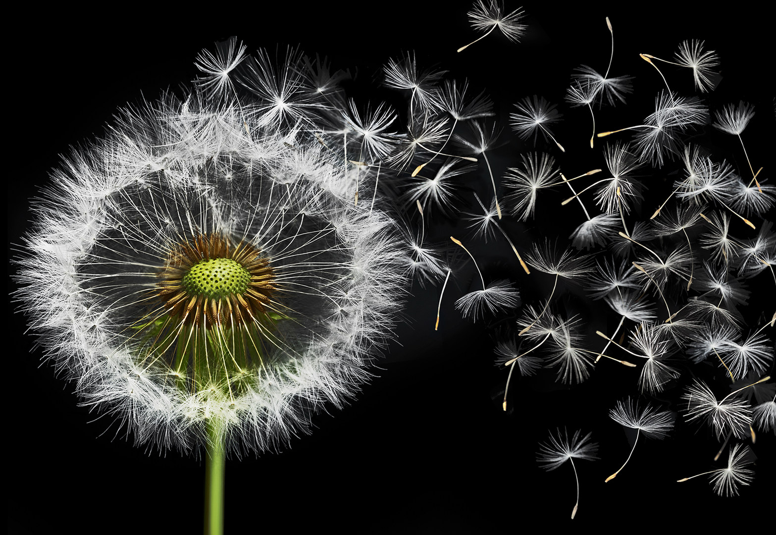 tonnyme的個(gè)人主頁(yè)（封面預(yù)覽） - 主頁(yè)封面設(shè)置 - 站酷設(shè)計(jì)師tonnyme原創(chuàng)素材 - 站酷ZCOOL